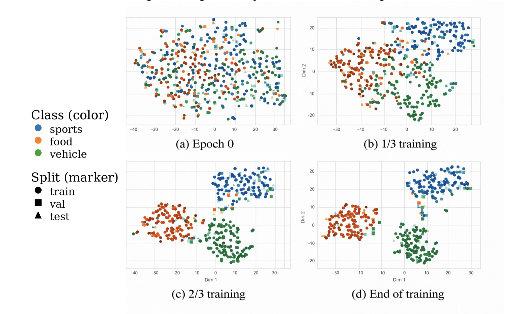 t-SNE progression over training